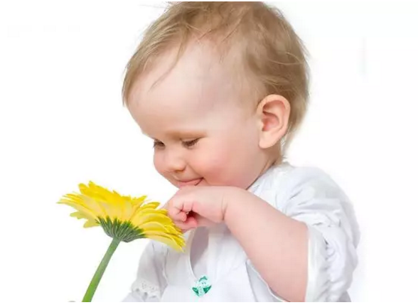 1588641388(1).png